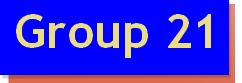  Group 21